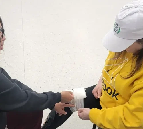 evolution-first-aid-22