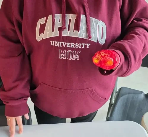 evolution-first-aid-3